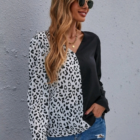 Colorblock Leopard V-Neck Blouse - Picture 3 of 8